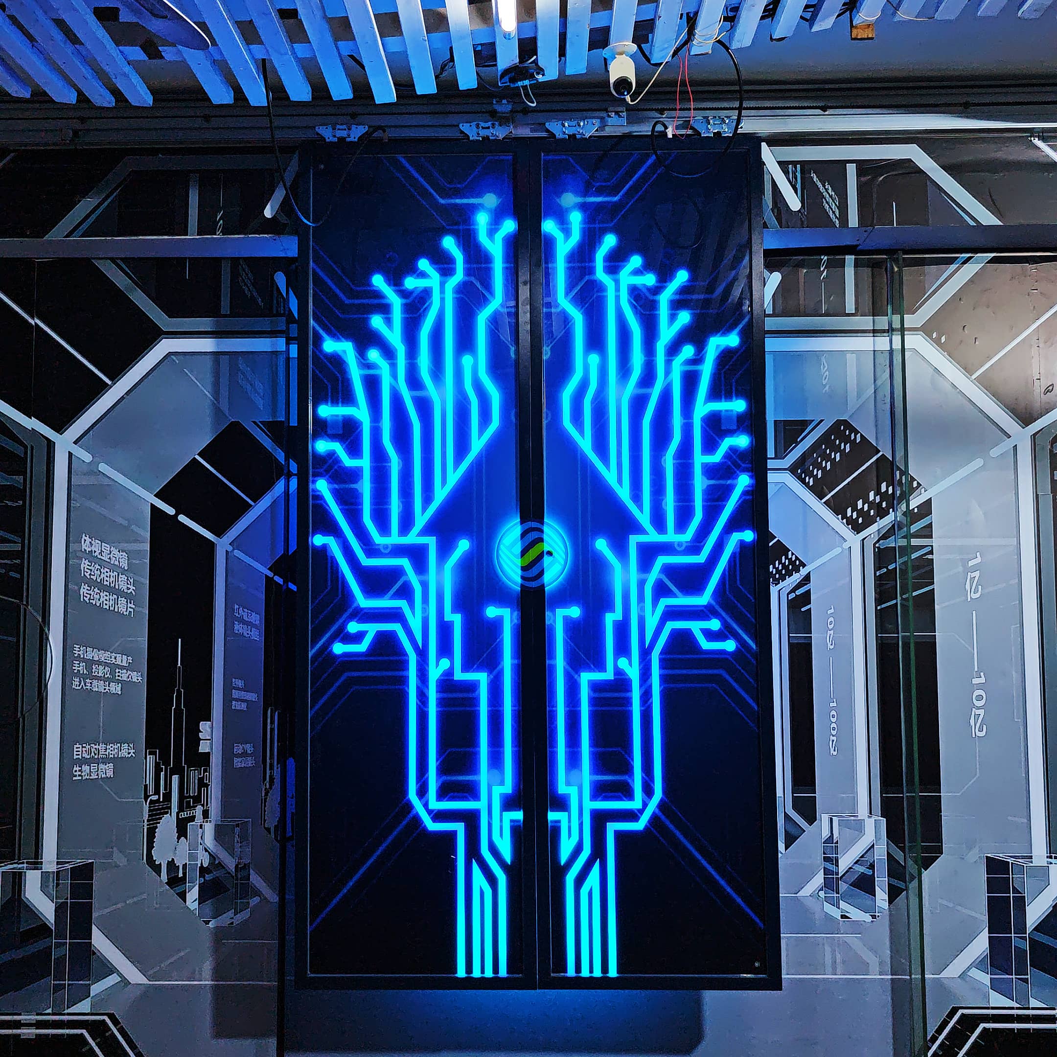 智能系统网红门 批发定制